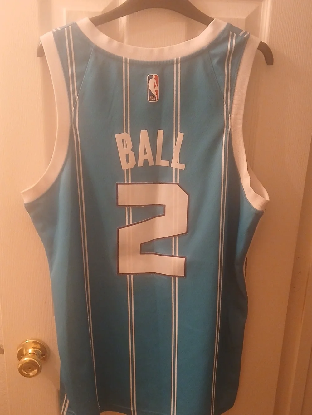 la Melo Ball Charlotte Hornets